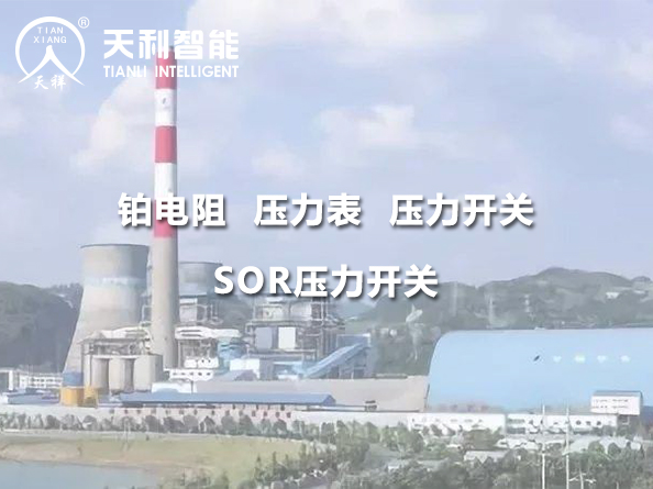 貴州華電桐梓發電有限公司2*600MW機組項目